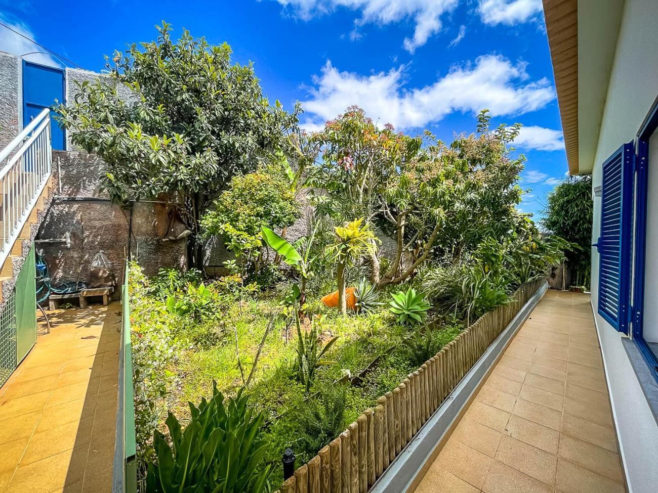 Indigo Star House Villa Ribeira Brava Eksteriør billede